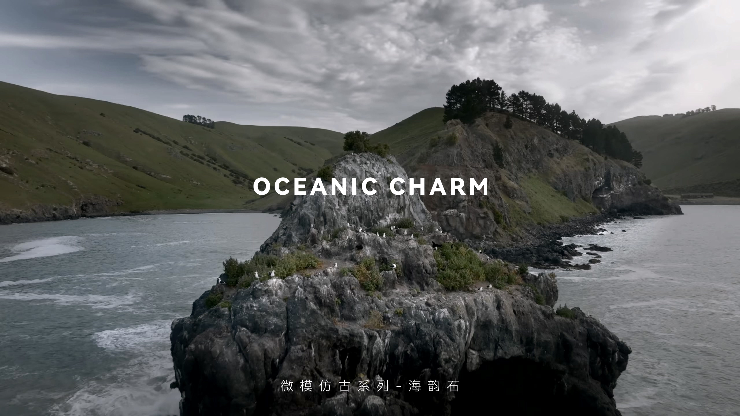 海韵石TWX61211/12}