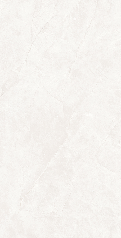 TWM48825S-4