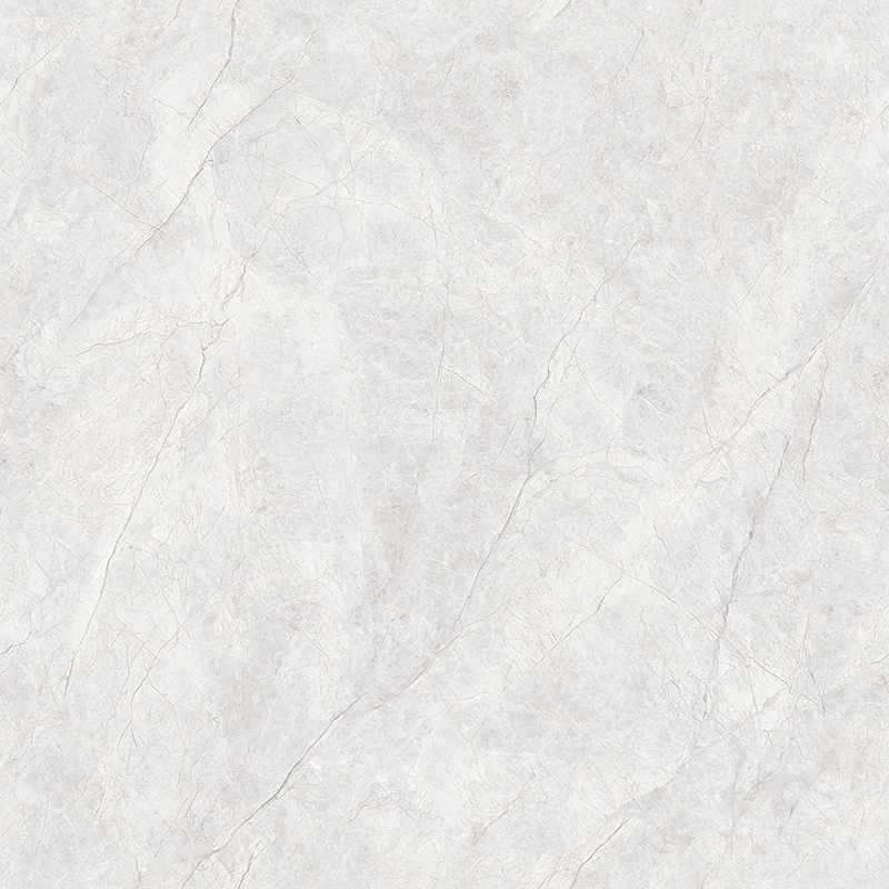 TW88P002-4
