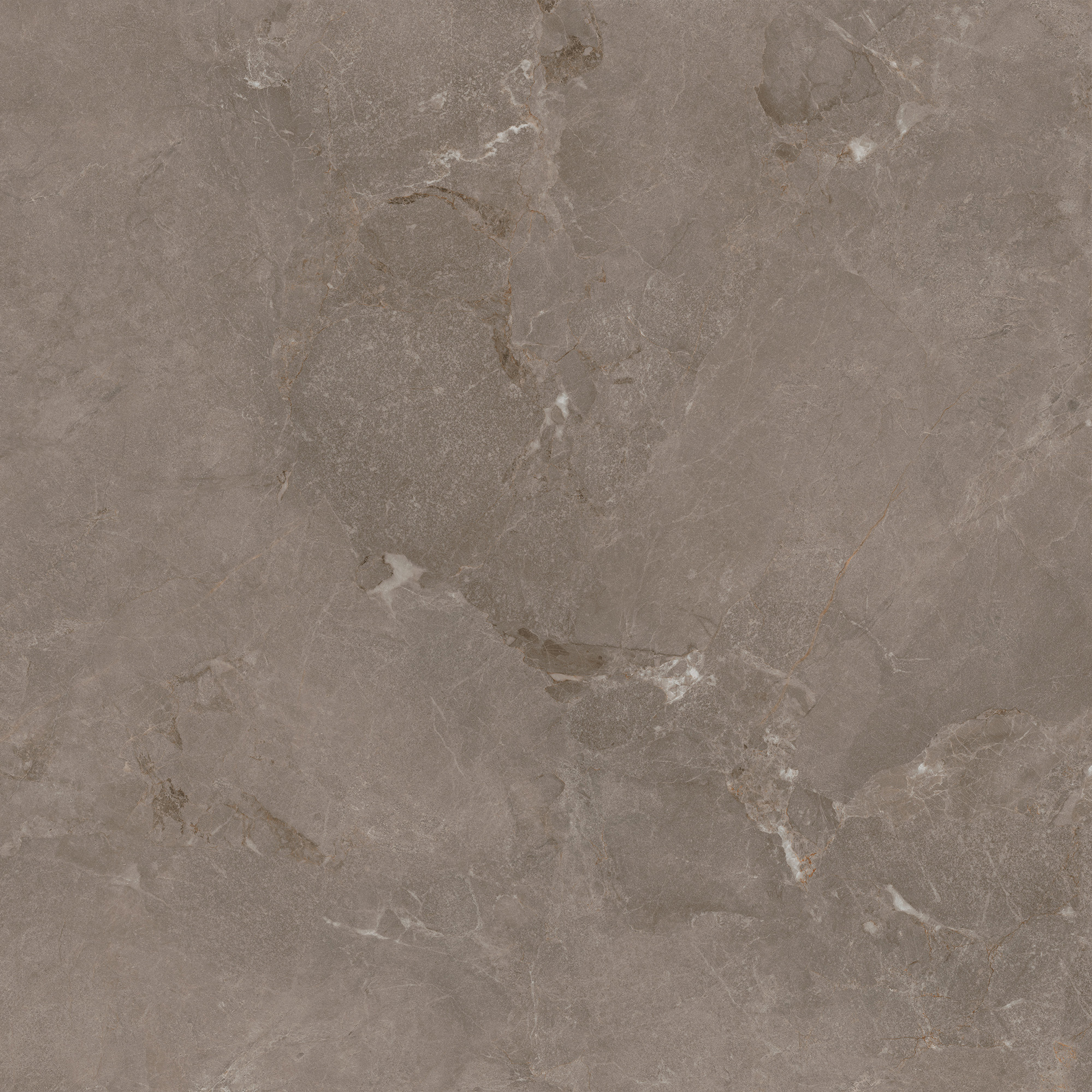 萨尔瓦灰-TW88X2555