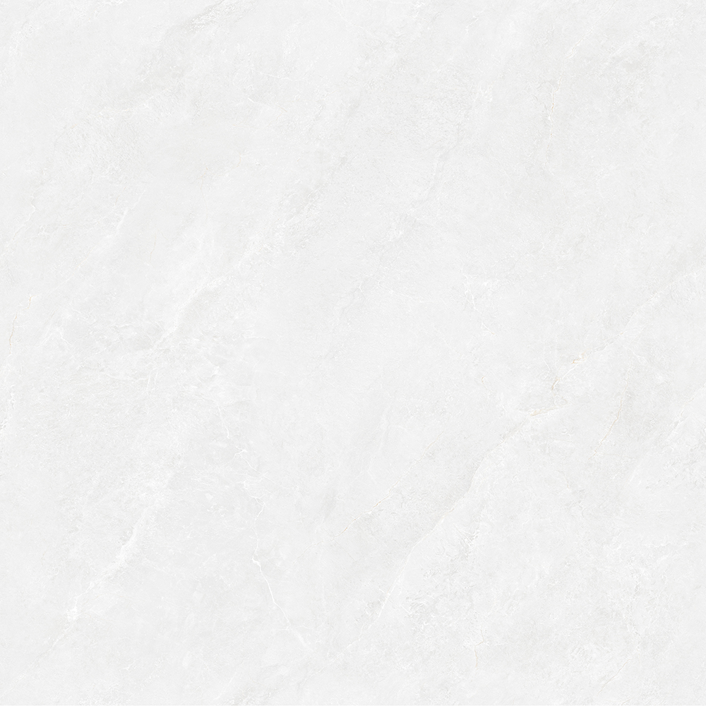 TW88P1012-6