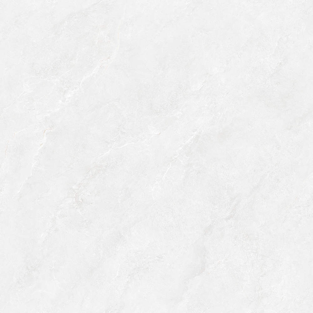 TW88P1012-2