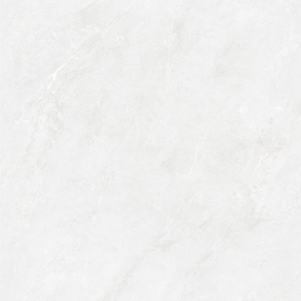TW88P1012-1