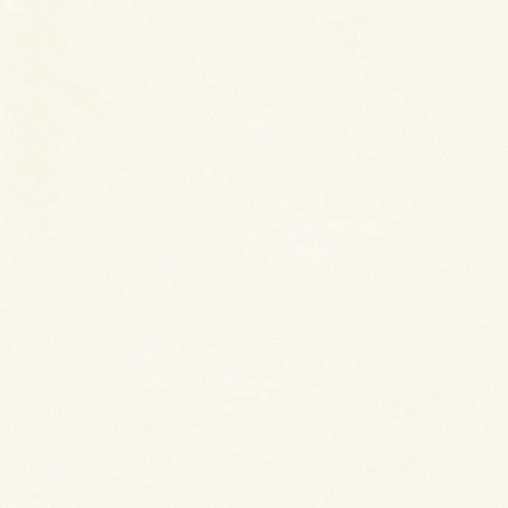 TW88C3013 (5)