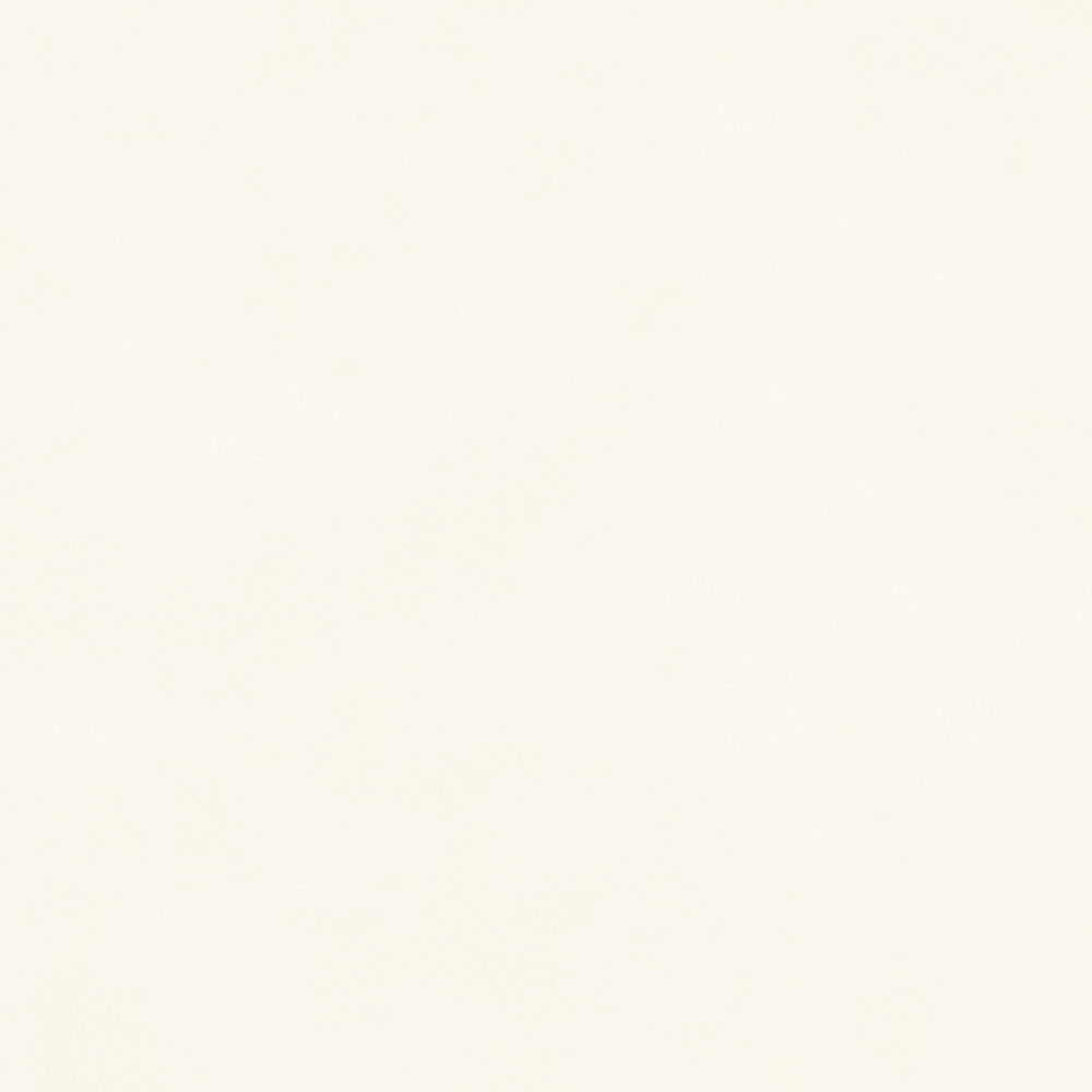 TW88C3013 (2)