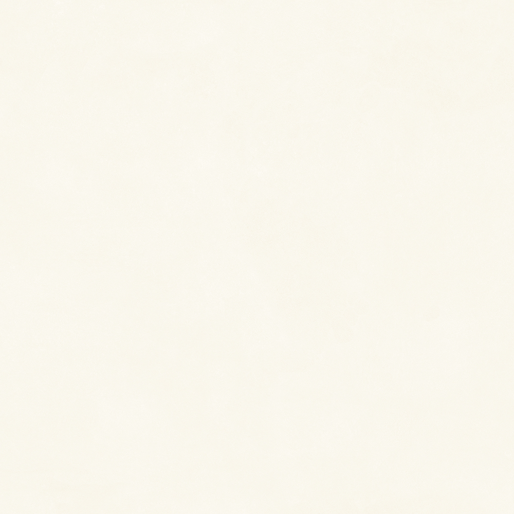 TW88C3013 (4)