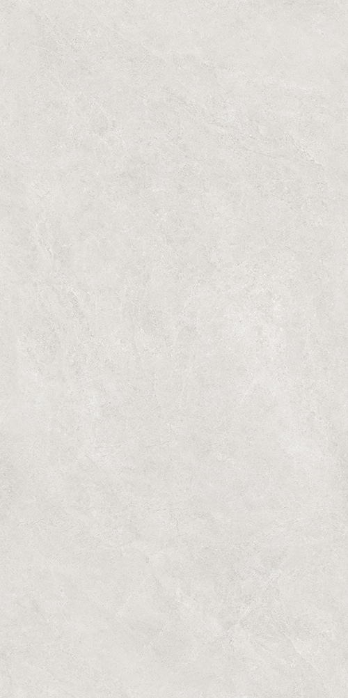 TW612X2011 (1)