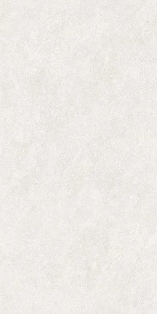 TW612X2009 (4)