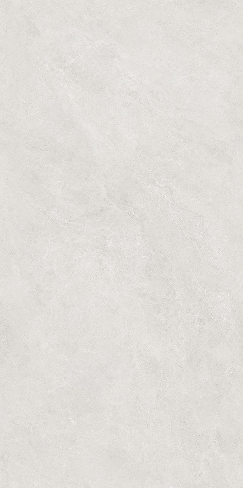 TW612X2011 (2)