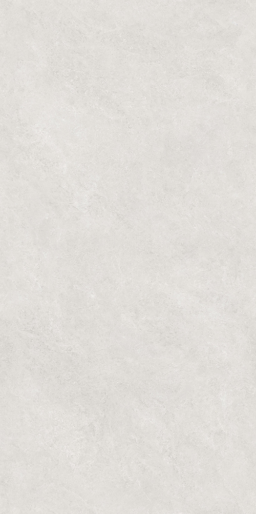 TW612X2011 (5)