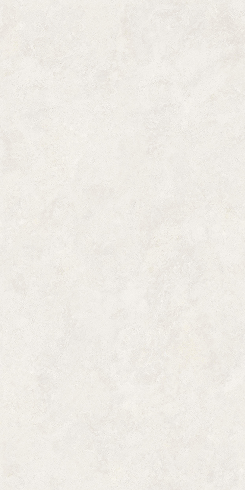 TW612X2009 (1)