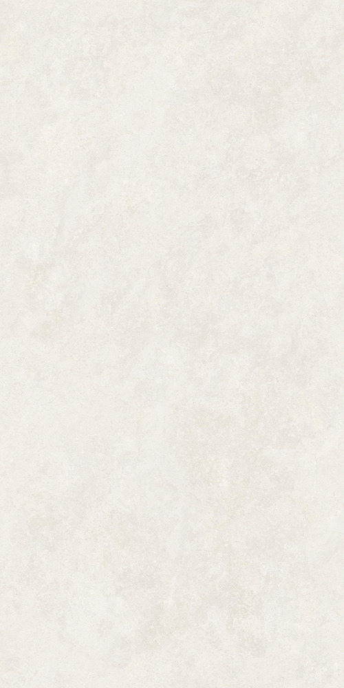 TW715X2009_4