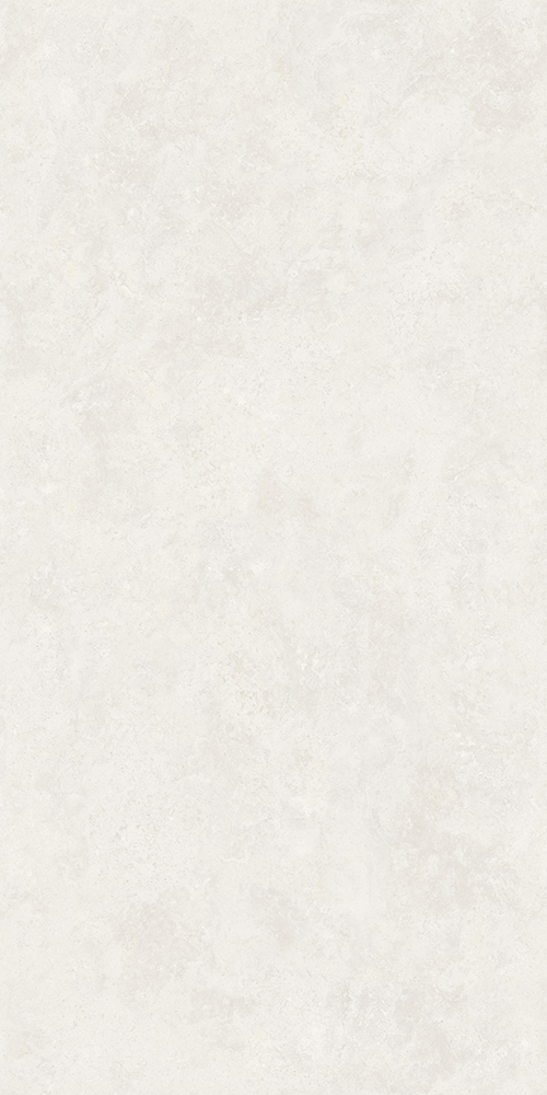TW612X2009 (6)