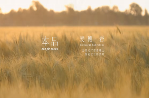 麦穗岩 | 感受收获的美好