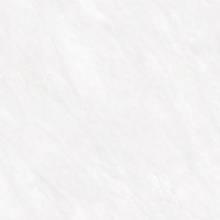 TW88P1011-5