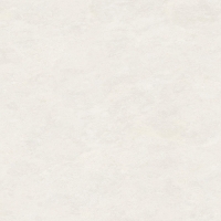 TW715X2009_1