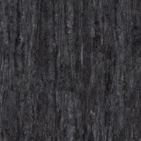 TW918X1205-1