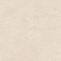 TW918X1002-1