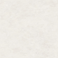 TW612X2009 (6)