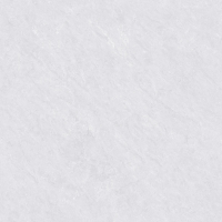 TW88P1013-1