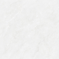 TW88P1012-2