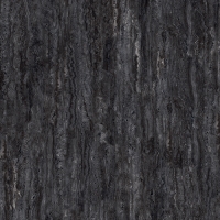 TW918X1205-2