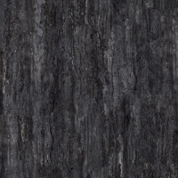 TW918X1205-4